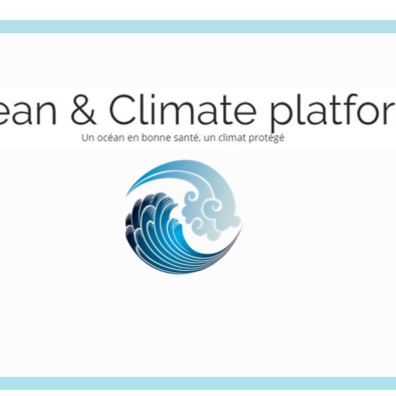 La Plateforme Océan & Climat : un réseau éclectique pour la protection des écosystèmes marins
