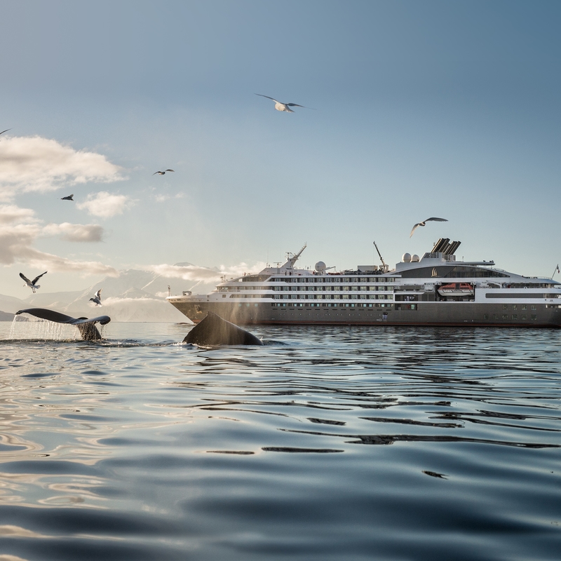 Sensibiliser à la pollution sonore sous-marine